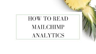 How To Read MailChimp Analytics