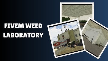 Transform Your FiveM Experience with the Ultimate Weed Laboratory!