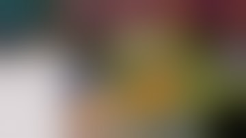 Wolf Plays Light Crusader 06