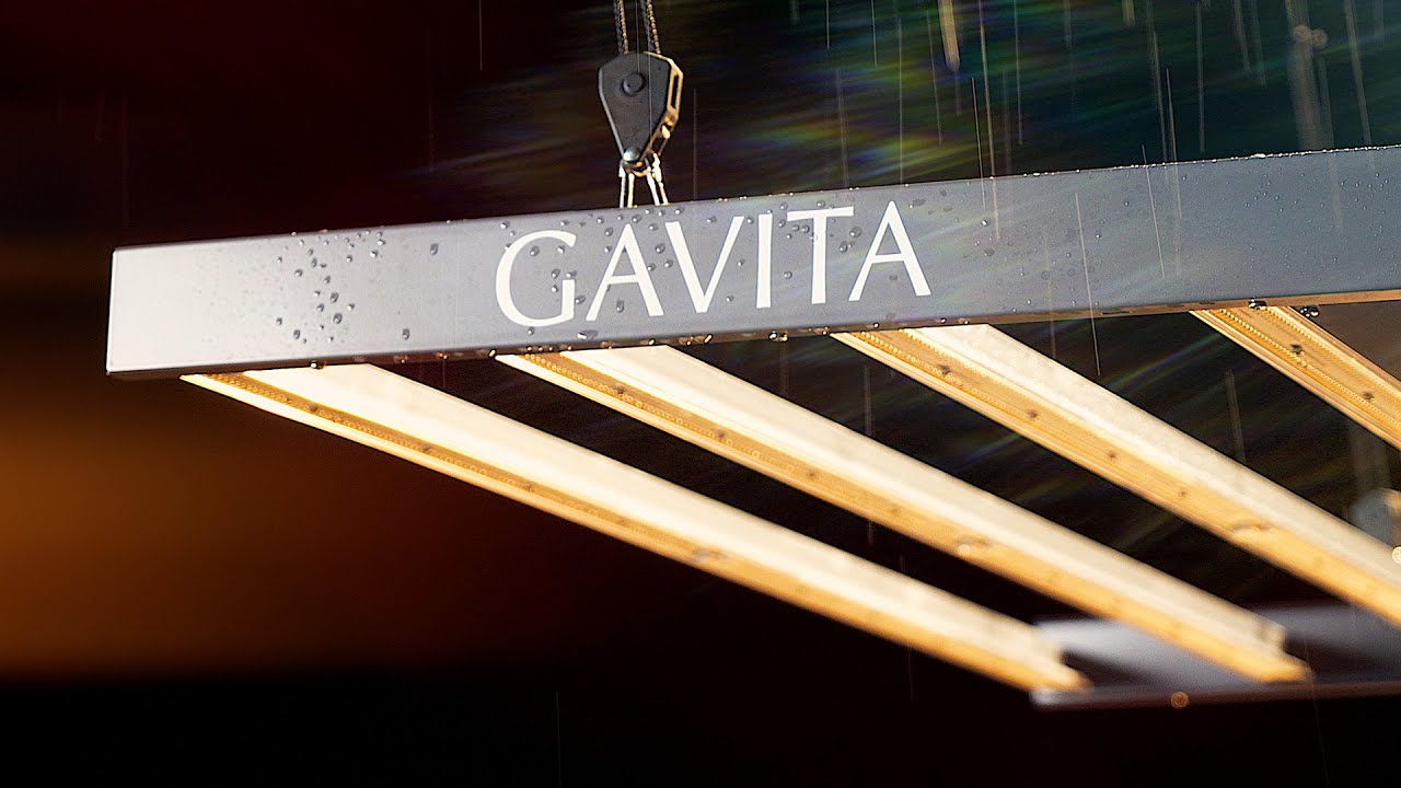 Gavita - 1700e | Advert