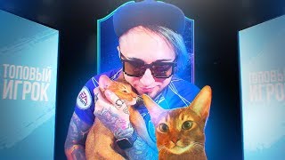КОТ ПОЙМАЛ КРУТУЮ КАРТОЧКУ ЛИГИ ЧЕМПИОНОВ! КОТ ПОЙМАЛ КРУТУЮ КАРТОЧКУ ЛИГИ ЧЕМПИОНОВ!