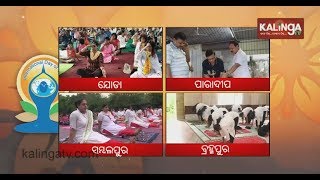 Odisha: International Yoga Day celebrated across the state | Kalinga TV screenshot 5