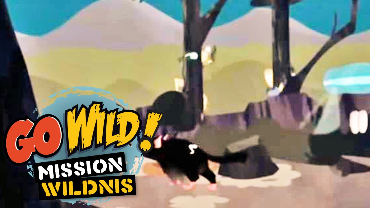 Go Wild Mission Wildnis Stream Go Wild Mission Wildnis Stream