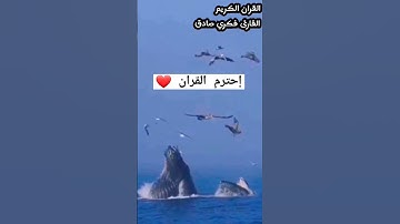 { وذا النون إذ ذهب مغاضبا فظن أن لن نقدر عليه }  / القارئ فكري صادق / #قران_كريم #qurankareem