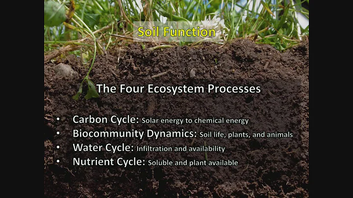 Regenerating Soils with Adaptive, High-Stock Density Grazing Webinar