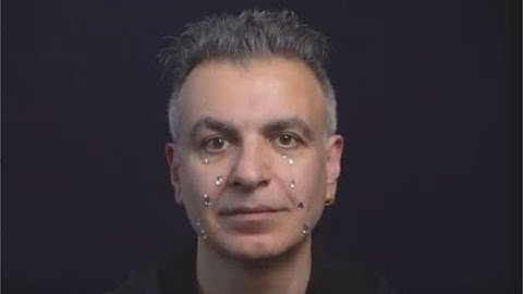 Chamëleon - Disinformation