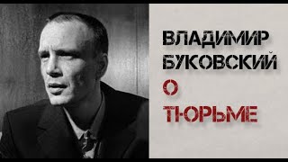 видео: Владимир Буковский о тюрьме в интервью журналу  картинка: Владимир Буковский о тюрьме в интервью журналу
