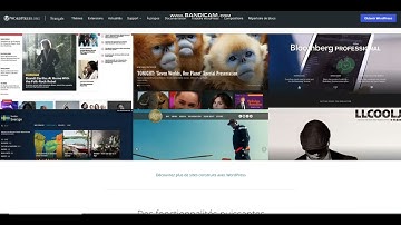 Comment afficher les flux RSS sur WordPress ?