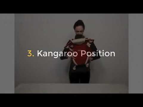 Beth Bear 4 in 1 Baby Carrier - YouTube