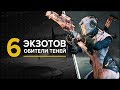 Destiny 2. 6 НОВЫХ ЭКЗОТИКОВ | Обитель теней.