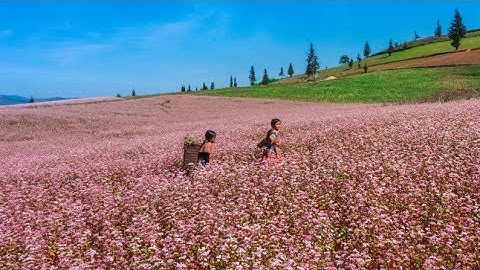 phong cảnh Thảo nguyên, suôi thầu,xín mần Hà Giang.cùng HẠNH VLOG khám phá #phongcảnhđẹp