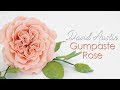 Gumpaste David Austin Sugar Rose Tutorial