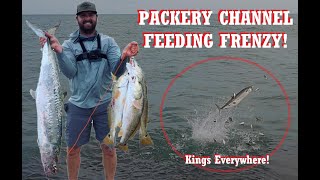 FEEDING FRENZY at PACKERY CHANNEL Jetties, Corpus Christi, TEXAS  Redfish limits and BIG KINGFISH!!