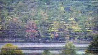 Play video: Dad 80th-Part 1