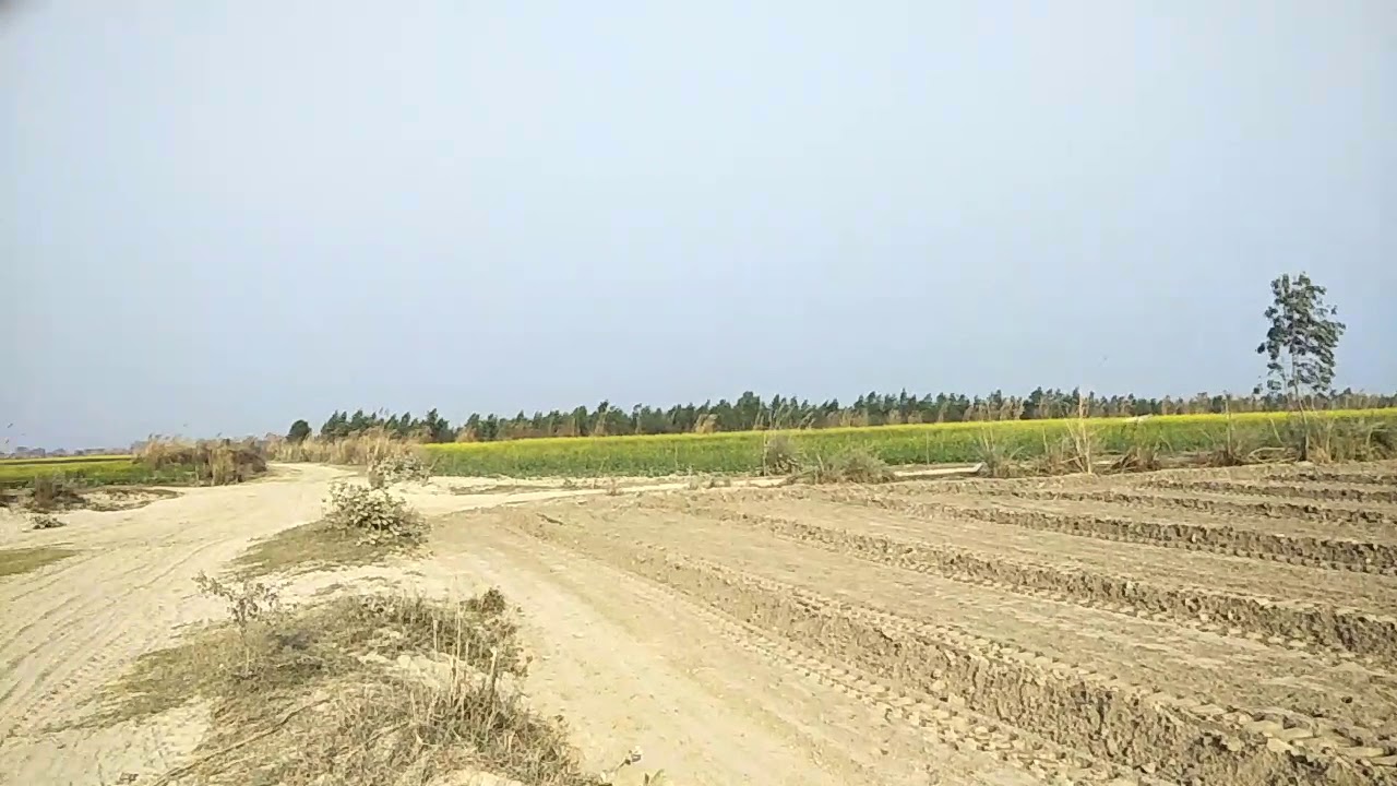 20 acres lease land ,price 15000/acres YouTube