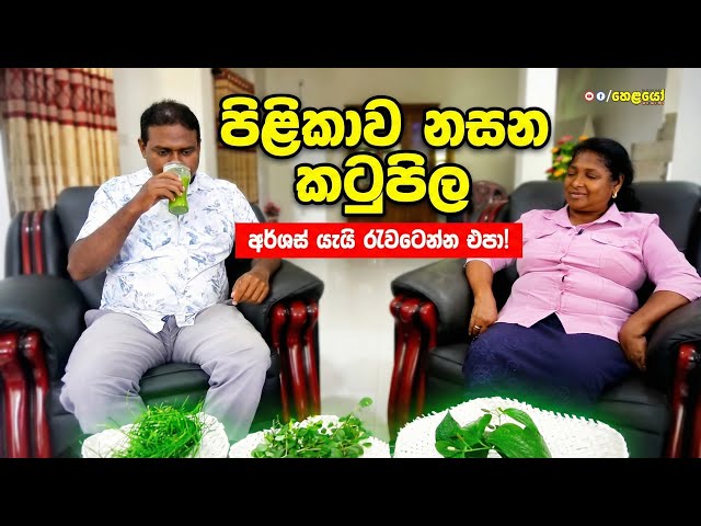 ශරීරයේ අභ්‍යන්තර රෝග සහ ගෙඩි සුව කරන දේශීය ඔසු | Katu Pila & Hathawariya Secrets