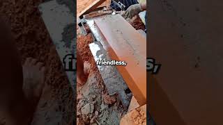 Dark Web users, have you ever felt in danger?