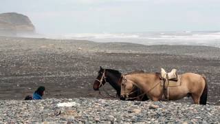 Cápsulas Turísticas de Saavedra: Playa Maule 2