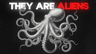 The Octopus Shouldn't Exist... Here's Why