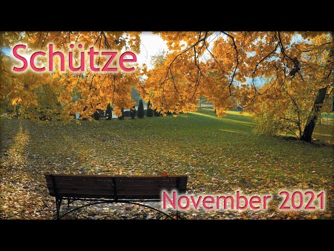 Video: Schütze