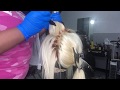 How to dye 613 Frontal WIG, dyed ROOTS BROWN ! NO STAINED LACE/ NO BLEEDING