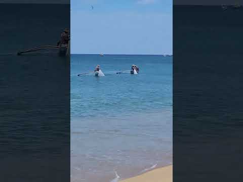 கடல் கரையில் வீச்சு வலை மீன்பிடிப்பு! Amazing Traditional Fishing #viral