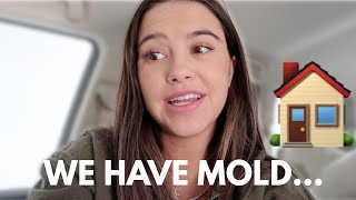 we have mold in our house...