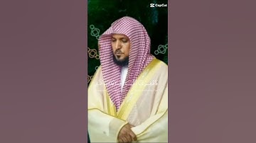 ماشاء الله تبارك الرحمن تلاوات خاشعة للشيخ ماهر المعيقلي ♥️ راحة نفسية 😴😴