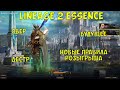 Планы на мое будущее в Lineage 2 Essence.