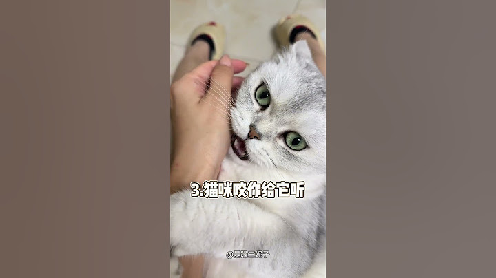猫犯错别打，用喵语骂它#猫咪犯错怎么办 #猫咪犯错怎么训 #训猫教程 #怎么用喵语骂猫咪 #养猫经验分享