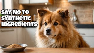 3 reasons to avoid synthetic ingredients in dog food