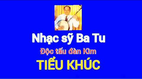 TIỂU KHÚC || ĐỘC TẤU ĐÀN KÌM || NHẠC SỸ BA TU