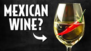 BAJA MEXICO makes ... WINE? by Rick Higgins 188 views 1 month ago 7 minutes, 15 seconds