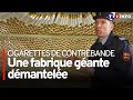 Cigarettes de contrebande une fabrique gante dmantele