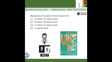 Biotechnology principles and processes class 12 #neet #neet2024