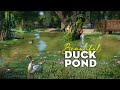 Enchanted little duck pond with swans and mallards  planet zoo