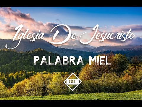 PALABRA MIEL TULA Hgo. 30/agosto/2026