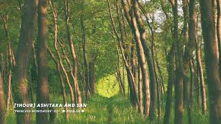 [1시간/1Hour] 원령공주(Princess Mononoke)OST - 아시타카와 산(Ashitaka and San) piano cover