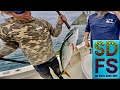 Yellowtail fishing coronado islands mexico baja california spring sportfishing san diego sdfs