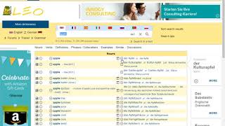 Using an Online German Dictionary