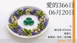 6月20日生日解析｜誕生花・誕生石・誕生色＋性格特質一次看　＃6月20日 ＃生日快樂 ＃雙子座｜愛的366日