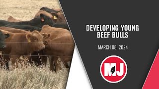 Get on the Bull Developing Attitudes and Behaviors for Successful Leadershi Bull Development Program - Sunflower Genetics