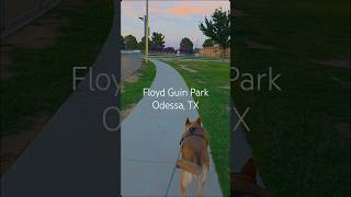 Floyd Gwin Park Odessa TX | $8.5 Million Renovation, Pool, Pickleball & More!