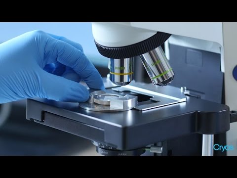 Screening and testing of Cryos International Sperm Donors