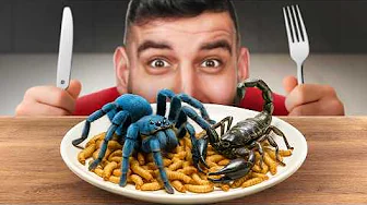 I Cooked Every Exotic Insect