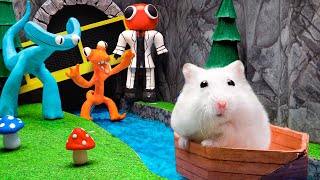 Hamster Adventures In Monster Maze  Live Stream