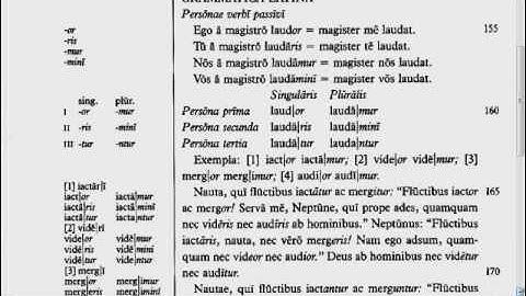 Lingua - 17.G - Reading Tutorial