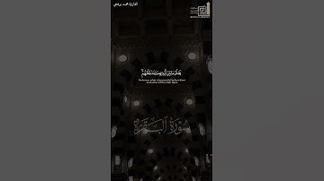 ﴿اللَّهُ لا إِلهَ إِلّا هُوَ الحَيُّ القَيّومُ﴾ #محمد_برهجي #سورة_البقرة #القرآن_الكريم #آية_الكرسي