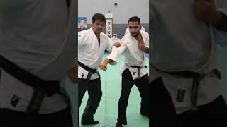 Irimi Nage With Said Sebbagh Sensei