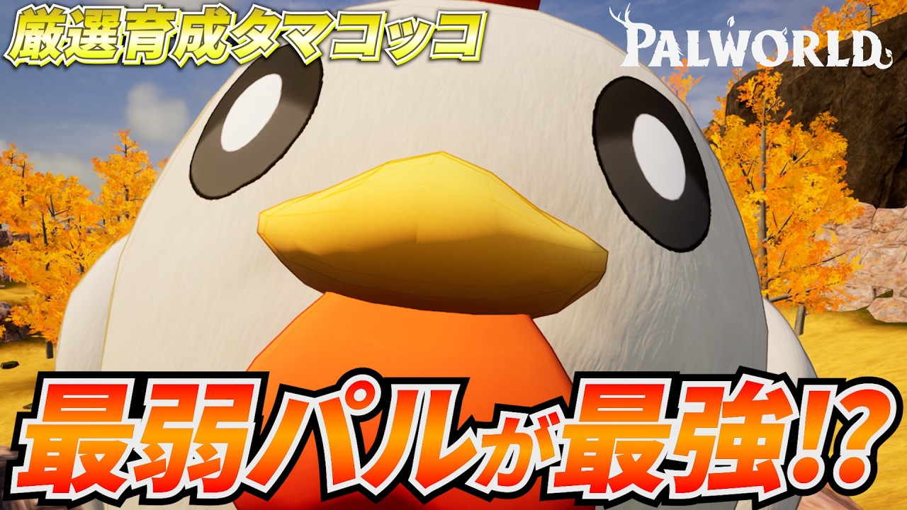 最弱パル『タマコッコ』を厳選育成したら最強パルになった件 #パルワールド